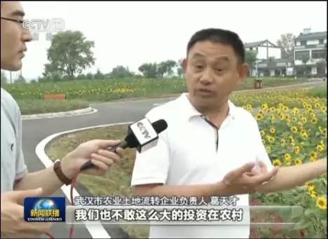 娱乐圈吃瓜新闻播报